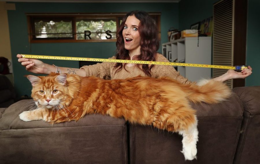 nintchdbpict000324349113-e1495026506416